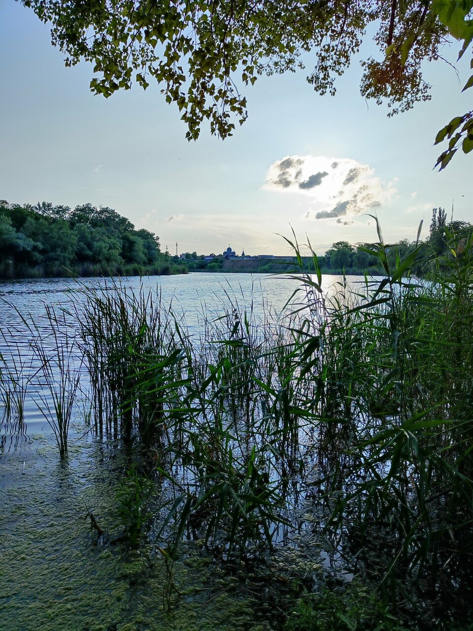 Гостиница Садко Кропоткин-170